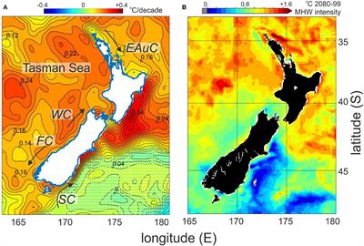Horizon Scan on the Benefits of Ocean Seasonal Forecasting in a Future of Increasing Marine Heatwaves for Aotearoa New Zealand